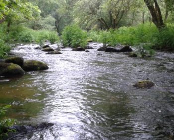 Cours d'eau