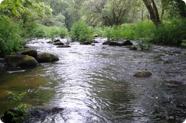 Cours d'eau